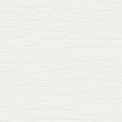 Rouleau de papier peint à peindre L 33 pi x l 20,9 po pieter