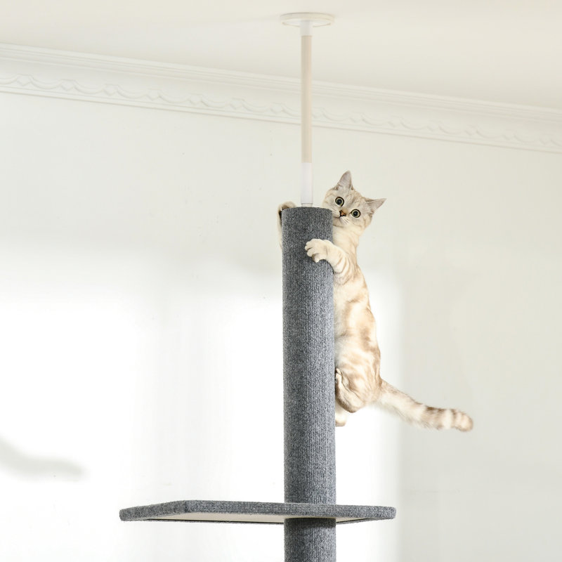 Floor-Ceiling Cat Climber, 8.5Ft Tall Adjustable Grey Tower With Platforms & Scratching For Kitten Fun Climbing Structure, Posts Comfy Kittens