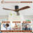 Nicola 52" 3-Blade Ceiling Fan-1789334595