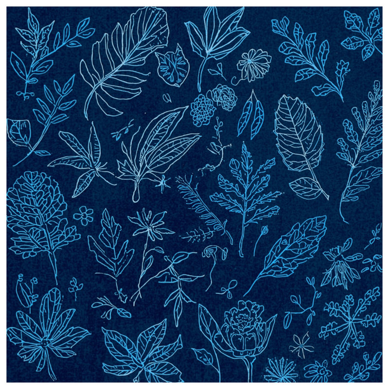 Tapis de bain Botanical Leaf Sketches, L 34 po x L 21 po