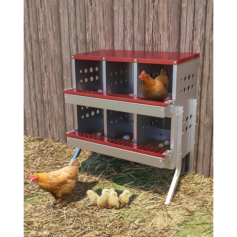 Boîte de nidification pour poules pondeuses, boîtes de poules roulantes, 6 compartiments avec pieds, Red