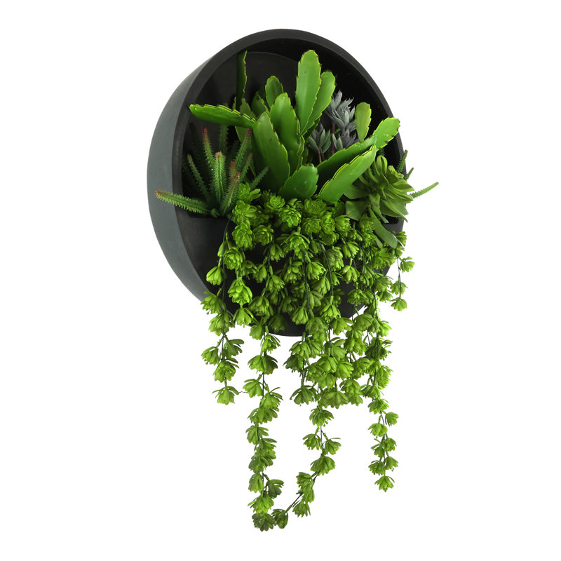 Cactus, Sedum et Echeveria disposés dans un pot suspendu en Fiberstone, Noir, H 33 po x l 24 po x P 8 po