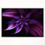«Fractal Flower Mauve», impression-26669224-35125089