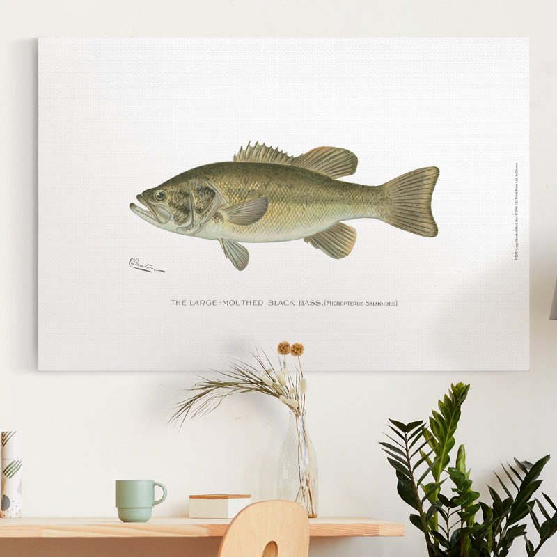 « Large-Mouthé Black Bass », impression sur toile, H 48 po x l 32 po x P 1 po