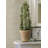 Princeton Non-Pasted Fabric Striped Wallpaper Roll-1355553437