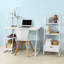 Carstens 115cm H x 44cm W Ladder Bookcase