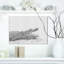 Crocodile noir et blanc - impression sur toile tendue-29497026