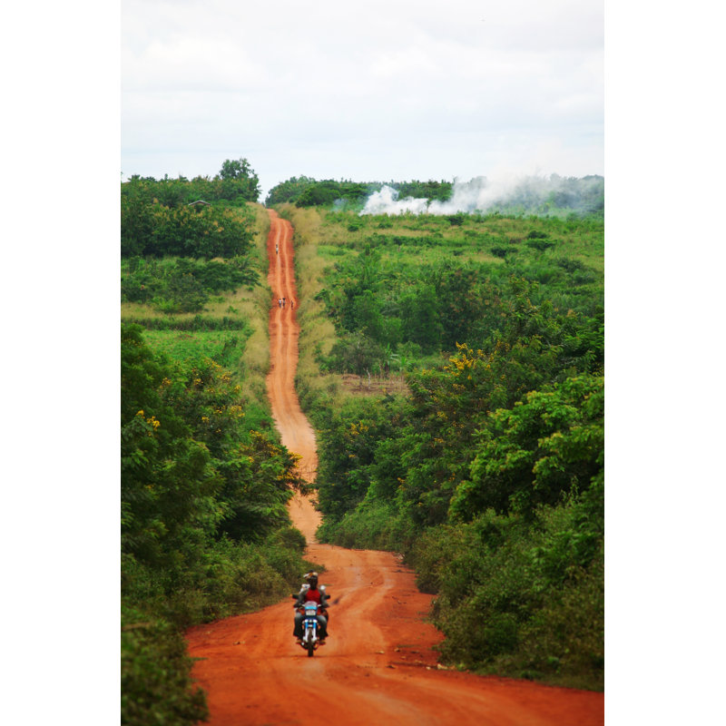 African Road - No Frame Print on Canvas, 46cm H x 30cm W