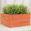 2 Wood Planter-100491942-100491949
