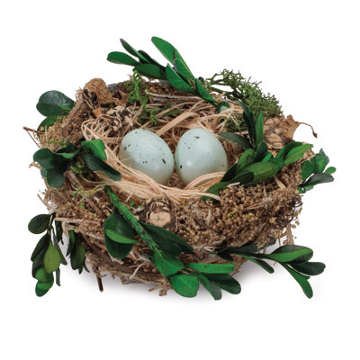 Twig Bird Nest with Eggs and Boxwood Foliage