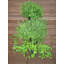 Pot de fleurs mural en plastique Penman
