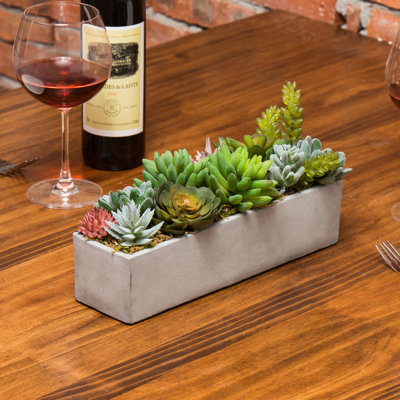 6.1'' Plant