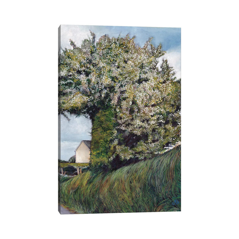 Cutaway 1 Piece Wall Art on Canvas, 66.04cm H x 45.72cm W