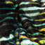 Einya Polyester Abstract Bedspread