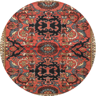 Oriental Indoor Rug