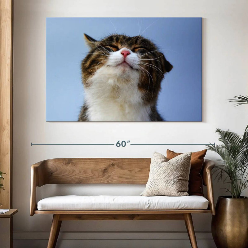 Refreshed Cat, 34" H x 51" W