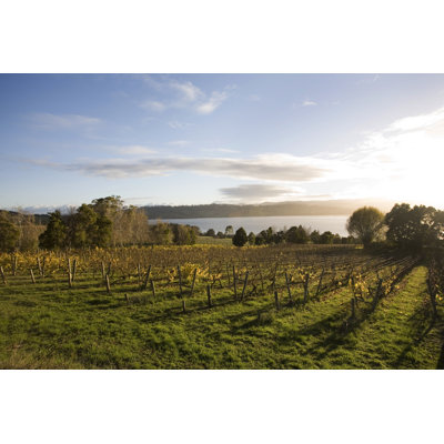 Sunrise Over Winery - Wrapped Canvas Print