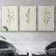 Olive Leaves I, ensemble de 3 toiles encadrées sur toile-616618755-616618756