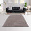 Tapis à poils longs en polyester super doux-1552531074