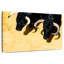 Fighting Bulls-1739003887