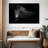 Vignette Zebra-107886426