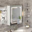 Ayyash 2 Door LED Bathroom Mirror,60 Wx 65 H cm Cabinet with 5 Shelves