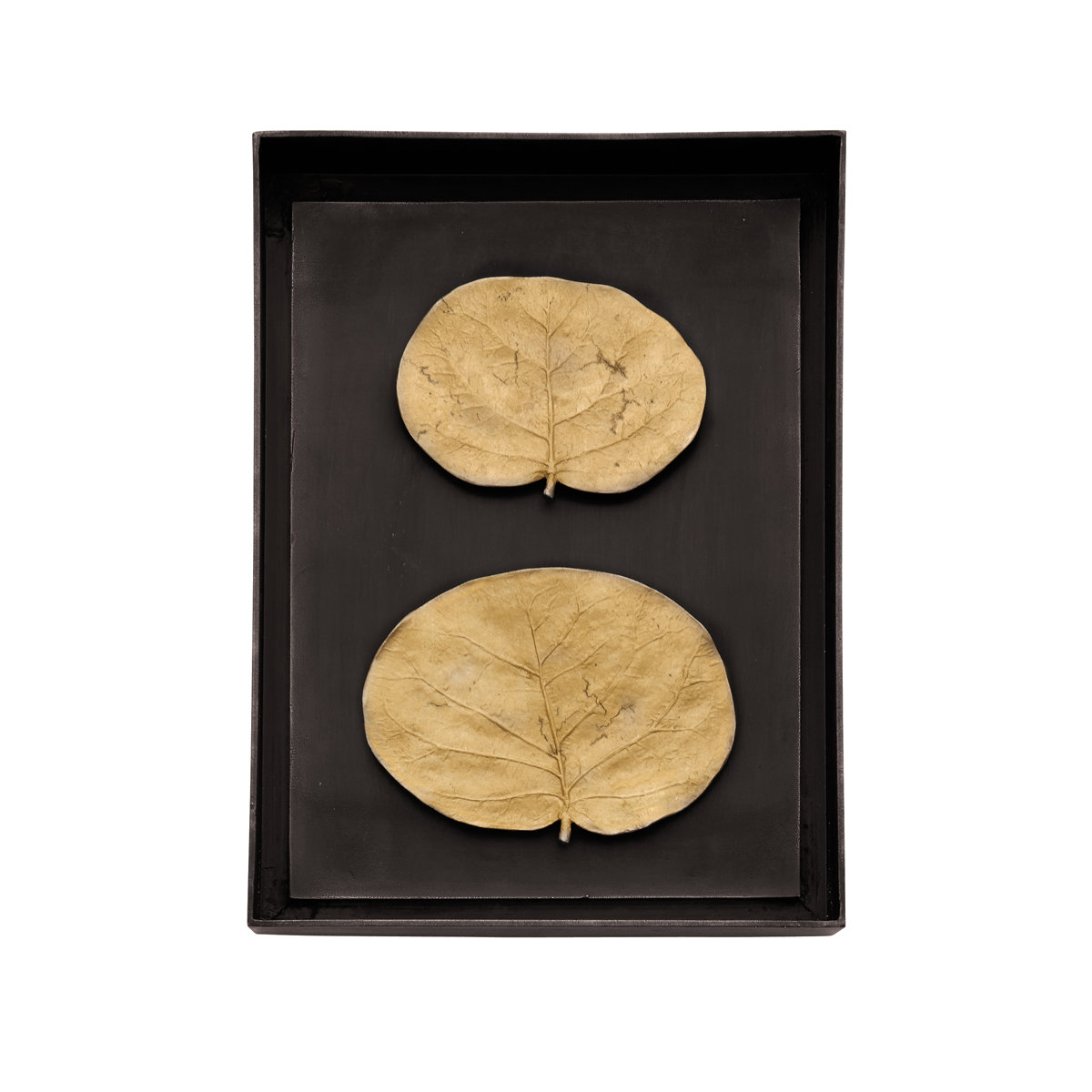 Michael Aram Botanical Leaf Shadow Box - Thumbnail 3