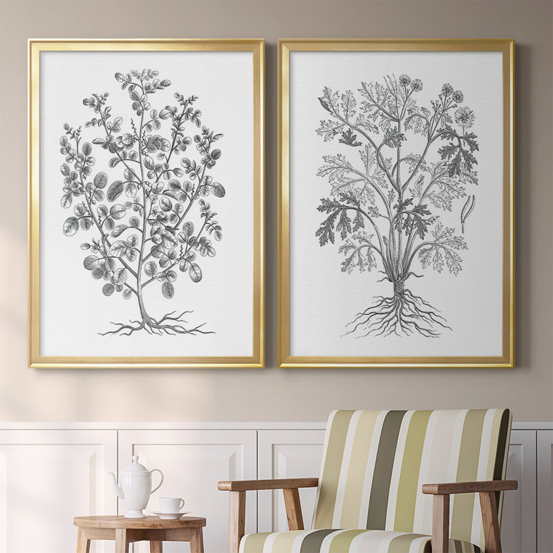 B&W Plant Spechantillon I - Ensemble de 2 reproductions de cadres photo sur toile, Or, H 24,5 po x l 37 po x P 1,25 po