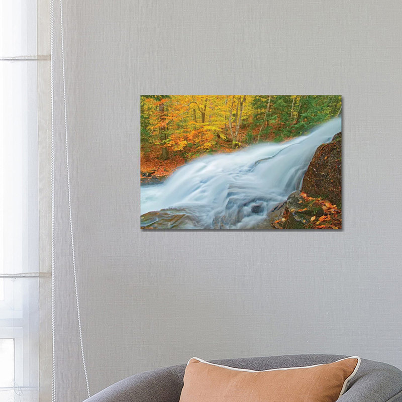 Canada, Ontario. Skeleton River At Hatchery Falls In Autumn by Jaynes Gallery - Wrapped Canvas Print, 66.04 cm H x 45.72 cm W