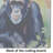 Chimpanzee Glass Cutting Board Large