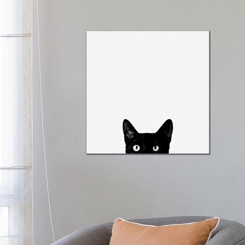 Curiosité - Giclée sur toile tendue avec châssis, H 26 po x l 26 po