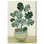 Reproduction d'art sur toile en pot Geranium II par Art Remedy