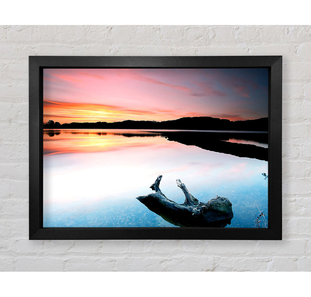 Gerahmtes Poster Driftwood In The Tranquil Ocean