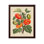 Fleurs des serres - Solanum Texanum