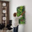 Plastic Wall Decor