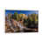 Impression sur toile flottante sans passe-partout n'est pas disponible