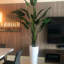 Planter