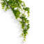 70 cm H Faux Plant-127680995