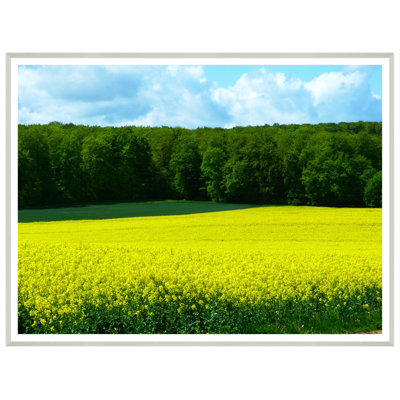 Landscape Field Framed Photographic Print