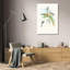 "Tharmastura Enicura" par John Gould - Art mural sur toile tendue avec châssis-93305651