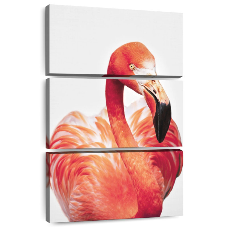 Flamant rosé