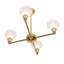 4 - Light Chandelier