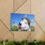 Drôle de Husky de Sibérie-136289637