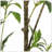 120CMARTIFICIAL PIERIS TREE