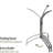 Deya Pedestal Birdbath