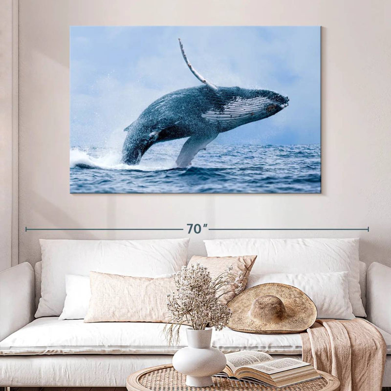 Baleine à bosse Brampt, H 34 po x l 51 po