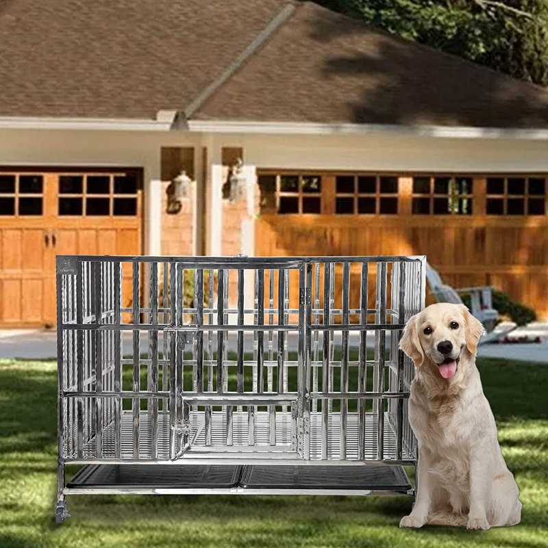 Cage pour chien en acier inoxydable Fasano, H 31 po x l 48 po x P 31 po