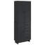 Storage Cabinet-798893519
