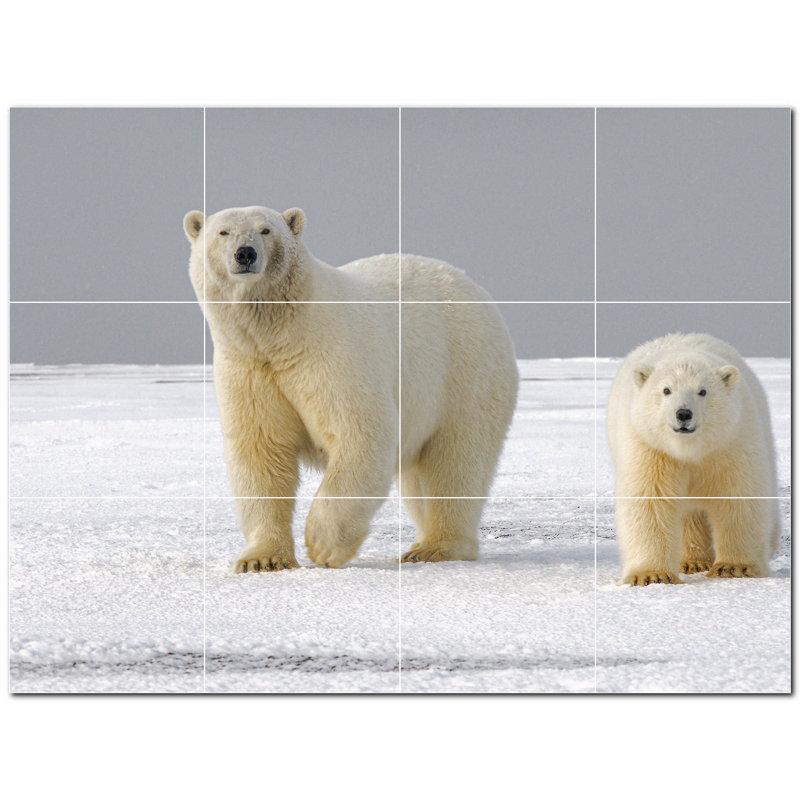 Murale en céramique satinée Bear Photo 8 po x 8 po