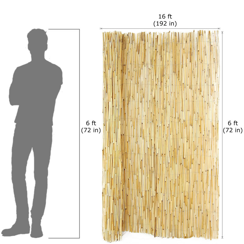 6 ft H x 16 ft W Coffee Reed Fencing Decorative Screen Fence Panel